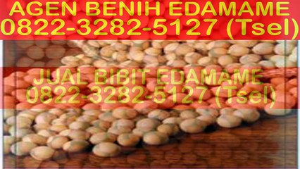 0822-3282-5127 (Tsel), Jual Bibit Edamame Jember