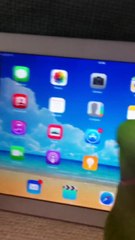 Pakistani Green Ring Neck Parrot Uses iPad.
