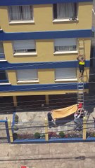 Motoboy se arrisca para salvar gato e vídeo viraliza