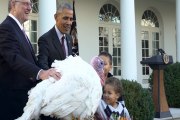 Obama indulta su último pavo de Acción de Gracias