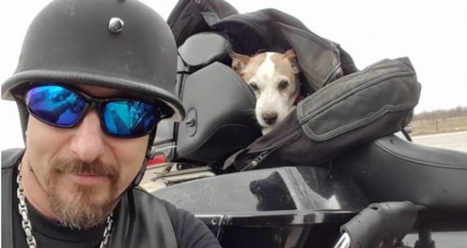 Assiste all’abbandono di un cucciolo sul ciglio della strada: Ciò che accade dopo è sbalorditivo