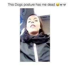 Funny Videos (@epicfunnypage) • Instagram photos and videos_5