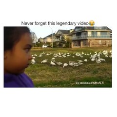 Funny Videos (@epicfunnypage) • Instagram photos and videos_10