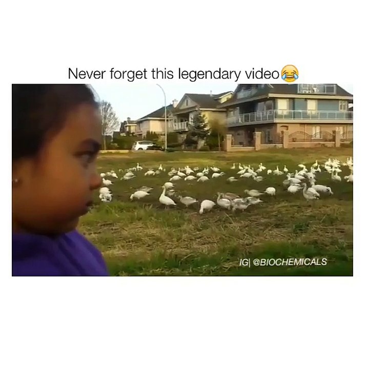 Funny Videos (@epicfunnypage) • Instagram photos and videos_10