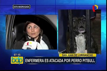 SJL: enfermera es atacada por perro pitbull