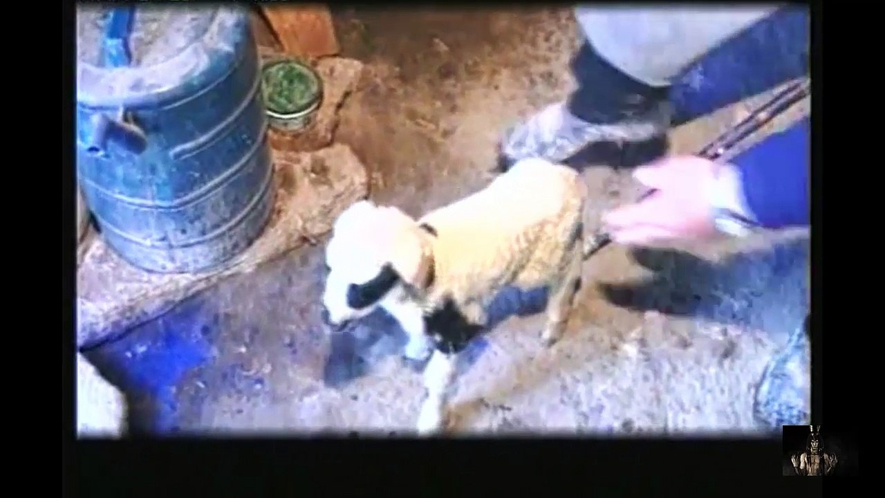 Zavallı Çocuğa İnsanlık Ayıbı Part 2