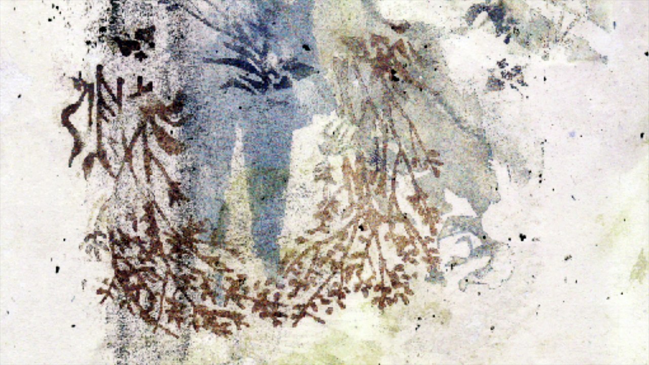 Sigur Rós - Hoppípolla (Planet Earth II Mix)