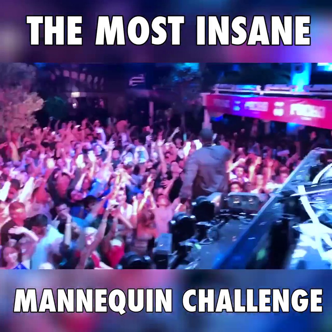 ⁣EDM Mannequin Challenge