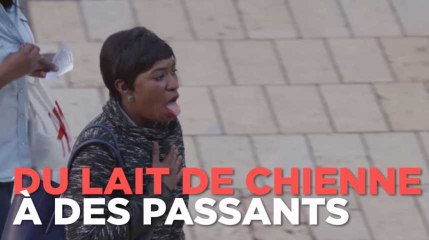 PETA fait boire du (faux) lait de chienne à des passants