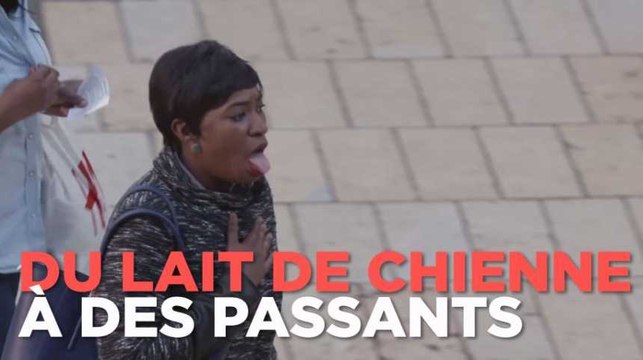 PETA fait boire du (faux) lait de chienne à des passants