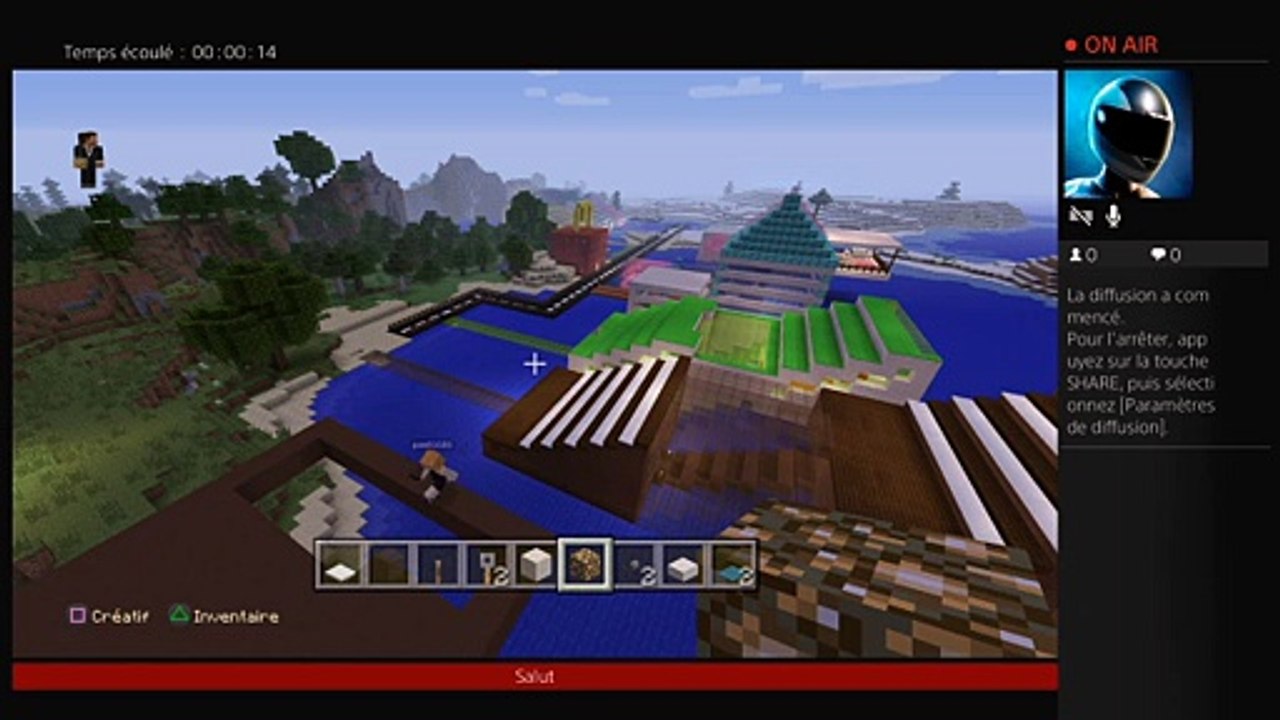 Minecraft (22)