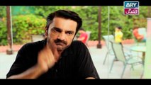 Haal-e-Dil Ep 47 - on Ary Zindagi in High Quality 24th November 2016