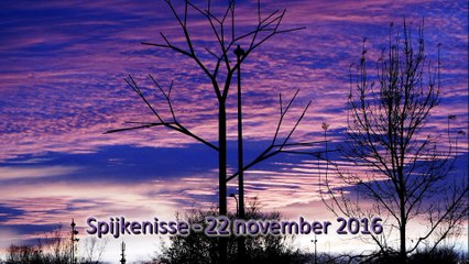 Wethouder Mourik opent opbaargelegenheid De Seizoenen / Spijkenisse 2016