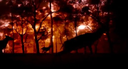 El Libro de la Selva Trailer #3 Español