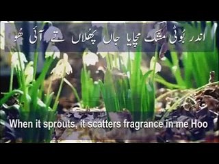 Hadhrat Sultan Bahoo R.A-الف اللہ چنبے دی بوٹی میرے من وچ مرشد لائی ھُو  اندر بُوٹی مشک مچایا جاں پھلاں تے آئی ھُو