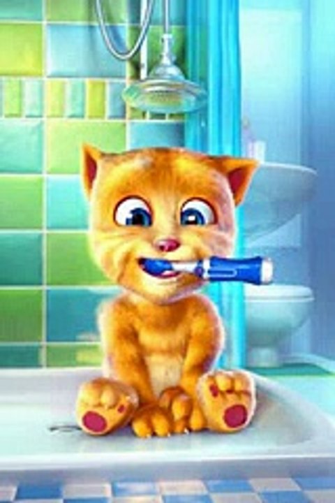 Talking Cat.Very Funny!