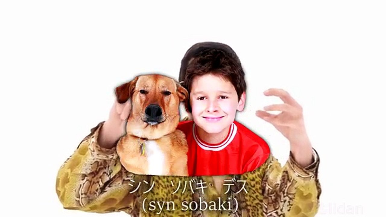 PPAP - сын собаки