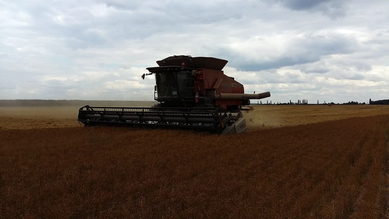 Massey Ferguson T7 working 2015