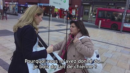 Des gens dégustent du lait de chienne sans le savoir