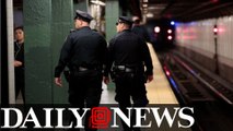 Queens Man Arrested For Trying To Push A Straphanger Onto The Subway Tracks