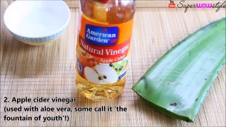 How to Make Aloe Vera Gel At Home  SuperWowStyle