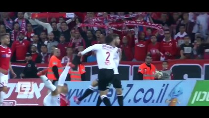 Crazy Acrobatic Goals 2016