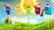 Teletubbies Finger Family 3D Animation Little Rhymes Official