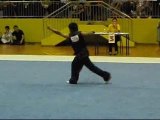 RP Wushu Team in National Wushu Championship 2007