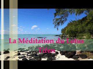 Tifen* - La Méditation du Lotus (Extrait)