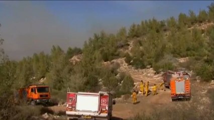 إسرائيل تواجه انتشار الحرائق وتحرض ضد الفلسطينيين