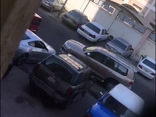 (Park yerinden çıkmaya çalışan mustang