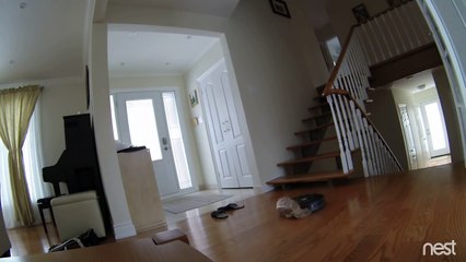 Le suicide d'un Roomba