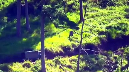 Pakistan army killing indian army soldiers on border