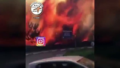 [MP4 360p] حرائق في إسرائيل.. ونتنياهو يطلب المساعدة العاجلة من تركيا واليونان وإيطاليا وقبرص