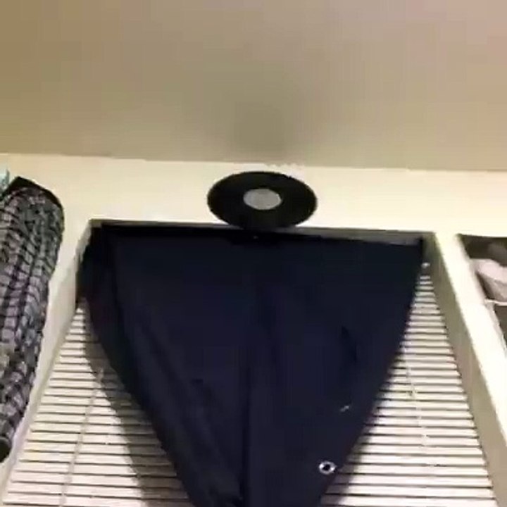 :D