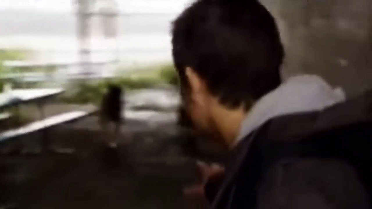 Köpek saldırılarında nasıl davranılmalı