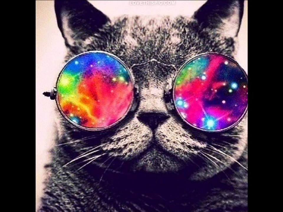 NT - Acid bubble cat