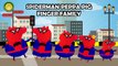 Peppa Pig Spiderman Finger Family | Peppa Pig Spiderman Nursery Rhymes Lyrics