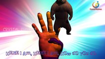 Lion Vs Bear 3d Animals Nursery Finger Family kids songs | Wild Animals Cartoons Movie For Kids