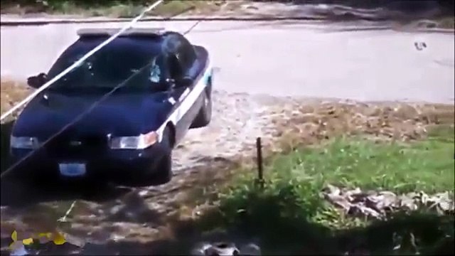 Gorilla Attacks and Fights Caught On Tape- Best Gorilla Attack Compilation