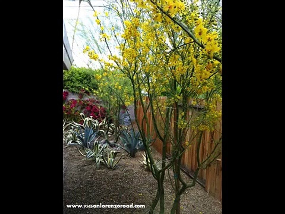 Palm Springs Vacation Home Rentals  Vacation Rentals Palm Spring