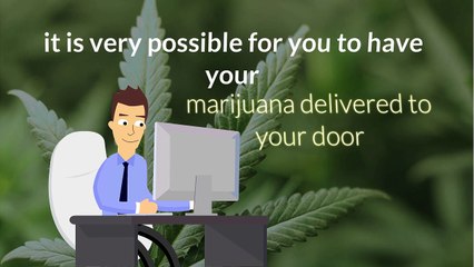 What You Need to Know about Marijuana Delivery Services at PotValet.com