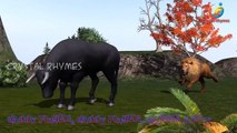 Cow And Buffalo 3d Animated Animals Finger Family Funny Rhymes | Kids Children Songs For Toddlers