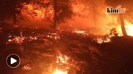 'Amukan api' di Israel, Netanyahu tuduh Palestin dalang kebakaran