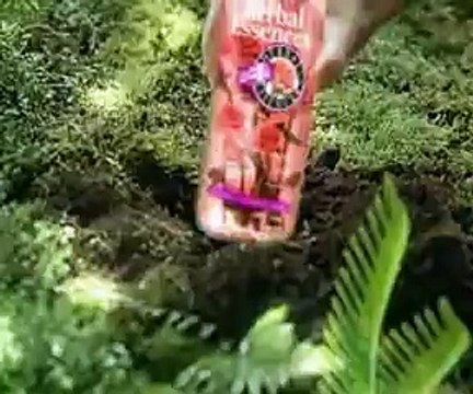 Anuncio Herbal Essences