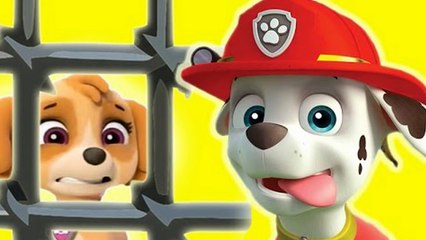 ᴴᴰ Animation Cartoon For Kids 2016 ♥ Psi Patrol 1080P HD ♥ Pup Save Full Episodes 1