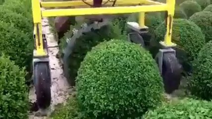 Dreamworld - Innovative Garden Amazing Machines -