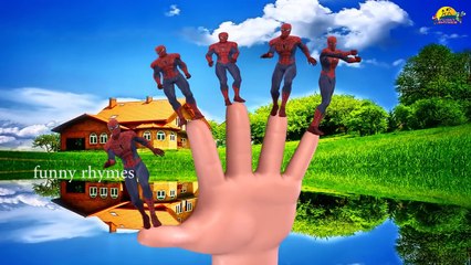 spider man Finger Family Nursery Children 3d English Rhymes | Spider man rhymes