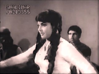Gulnar Begum - گلنار بېگم - ستا تورې سترگې