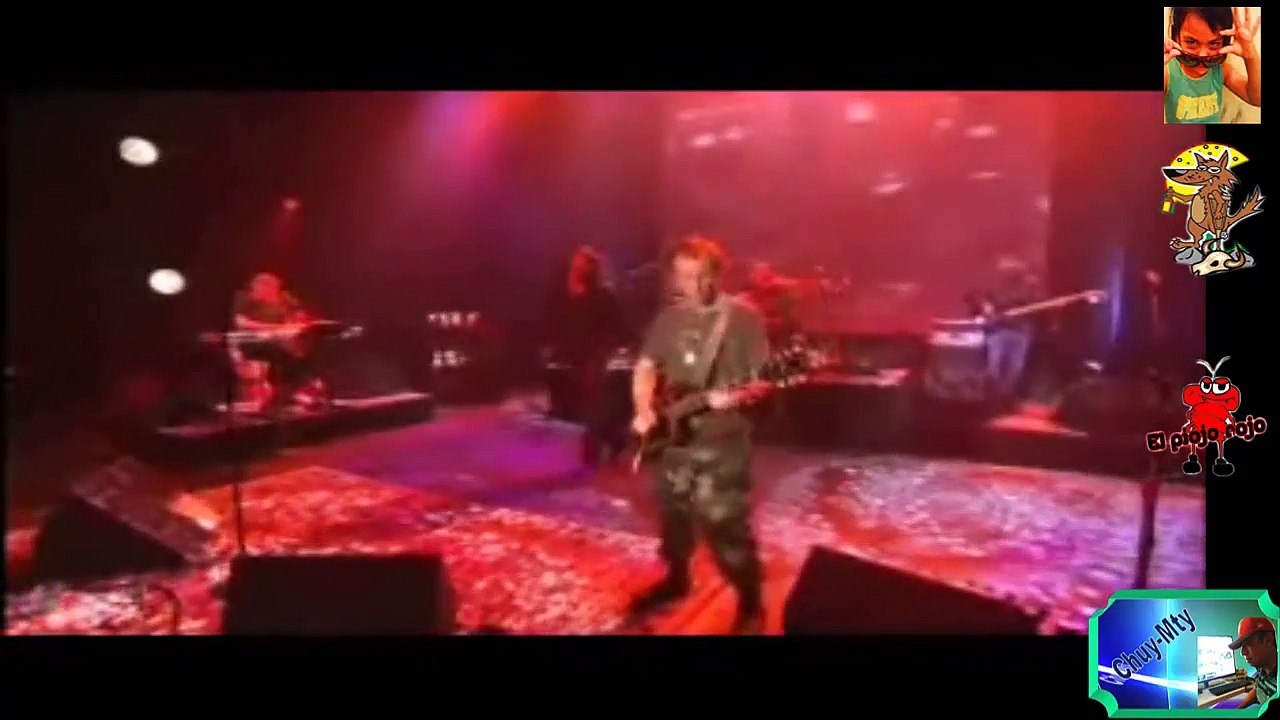 L.A. WOMAN THE DOORS JIM MORRISON LIVE ROCK ANTAÑO